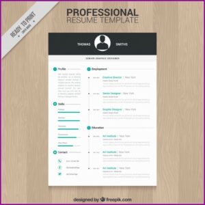 Professional Resume Design Templates Free Download