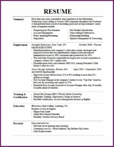 Professional Resume Editing Services