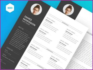 Professional Resume Format Download