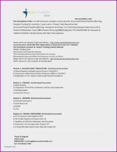 Professional Resume Format For Accountant