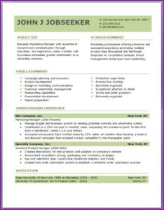 Professional Resume Format Free Download