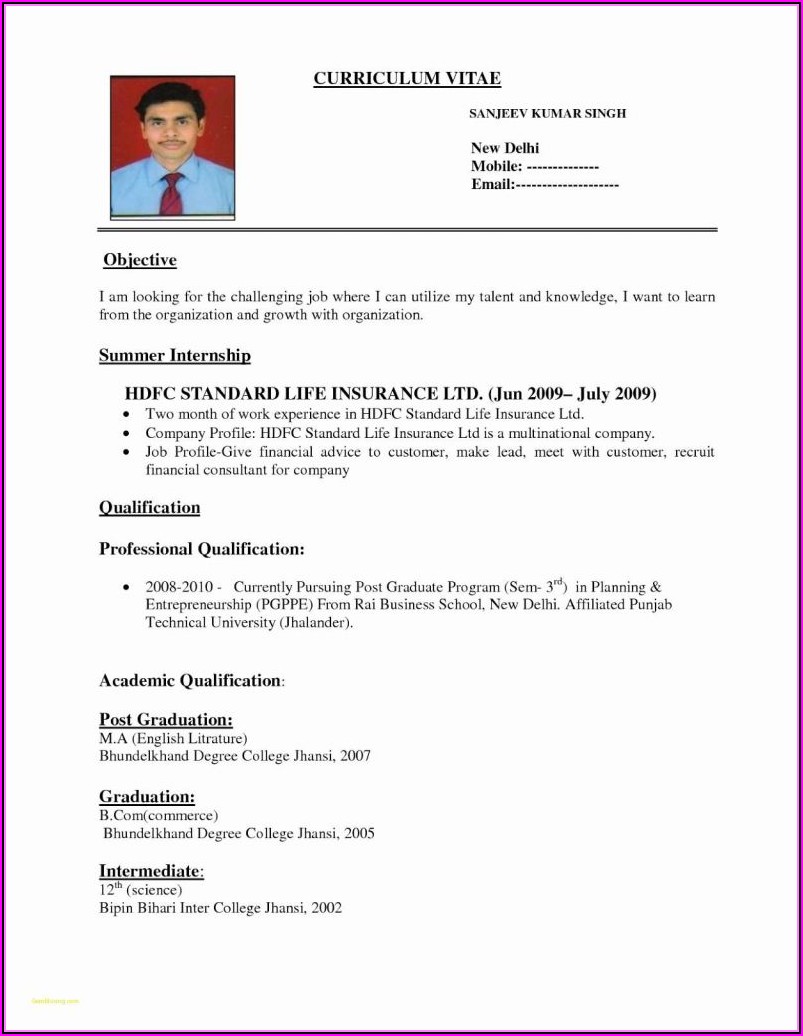 Professional Resume Format Pdf