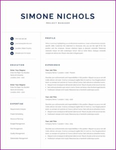 Professional Resume Template For Accountant