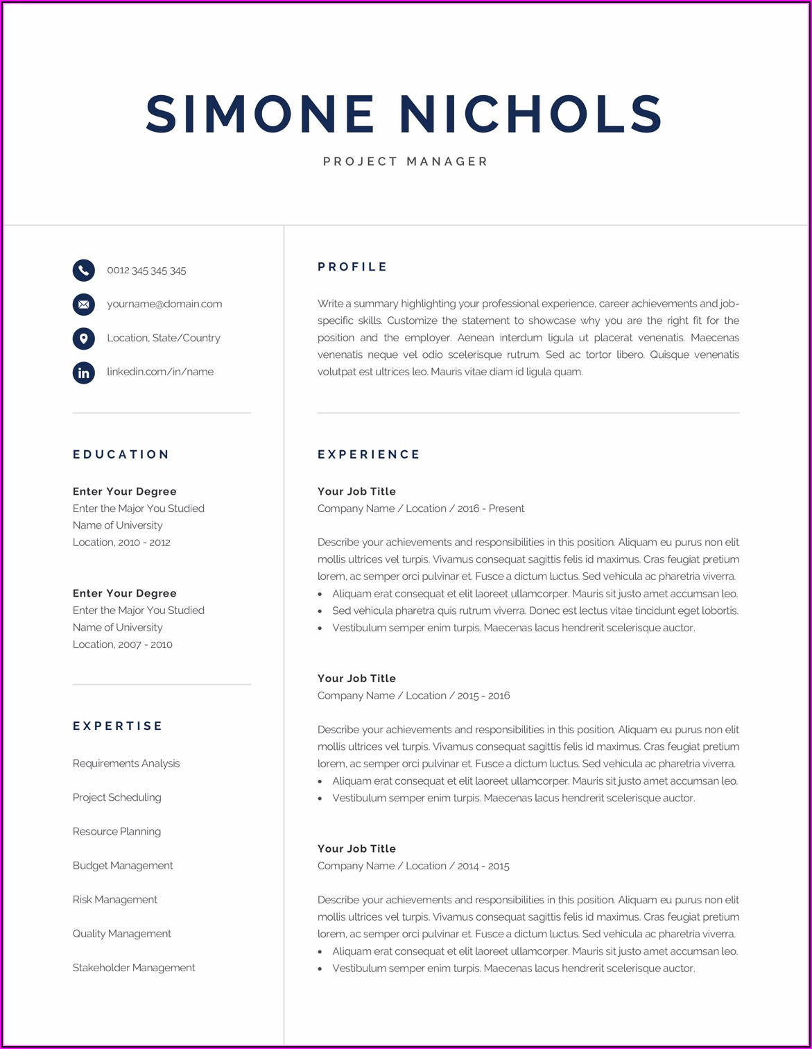 Professional Resume Template For Accountant