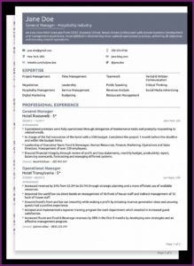 Professional Resumes Templates For Download