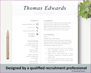 Professional Sales Cv Template