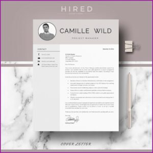 Professional Sales Manager Resume Template