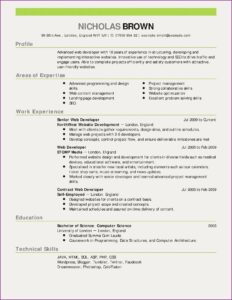 Professional Sales Resume Template