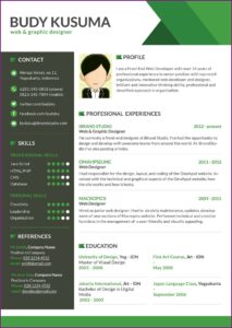 Professional Software Developer Resume Examples