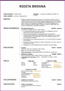 Registered Nurse Icu Resume Examples