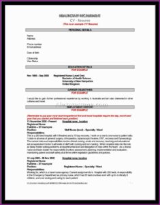 Registered Nurse Resumes Templates