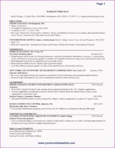 Resume Builder Examples Free
