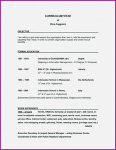 Resume Builder Objective Examples