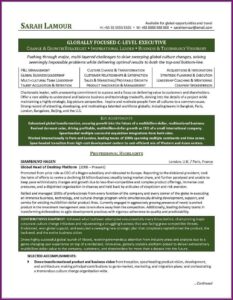 Resume Examples Executive Level