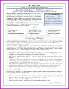Resume Examples Executive Summary