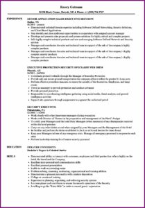 Resume Examples Executives