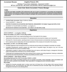 Resume Examples For Accountants With Objectives