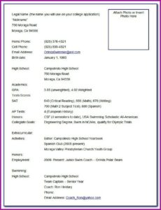 Resume Format For Assistant Manager Logistics