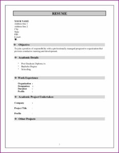 Resume Format For Freshers Free Download Doc