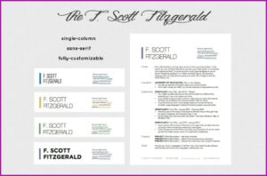 Resume Format For It Professional