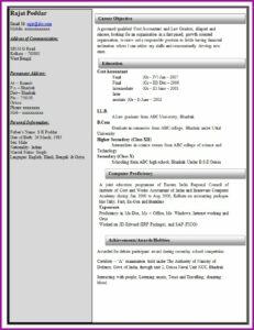 Resume Format For It Professional Experience