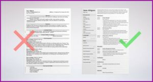 Resume Format For It Professional In India