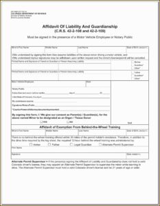 Sc Guardianship Forms