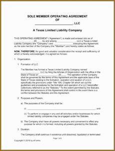 Short Form Delaware Llc Operating Agreement