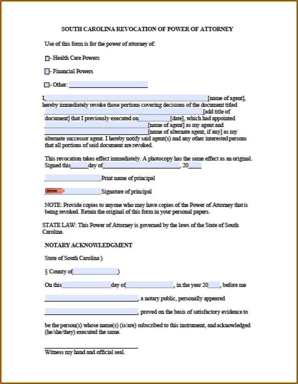 South Carolina Durable Power Of Attorney Form 2019