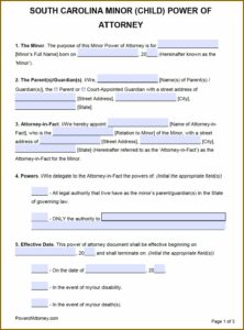 South Carolina Power Of Attorney Form Pdf