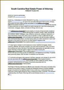 South Carolina Power Of Attorney Template