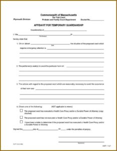 Temporary Legal Guardianship Form Texas