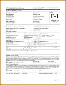 W 9 Form Fillable Pdf