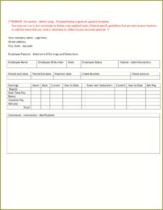 Employee Pay Stub Template