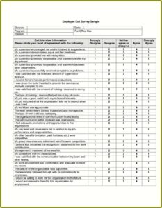 Employee Satisfaction Survey Questionnaire Doc