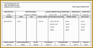 Free 1099 Pay Stub Template Pdf