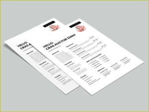 Free Dynamic Resume Templates