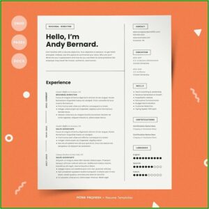 Resume Now Free Templates