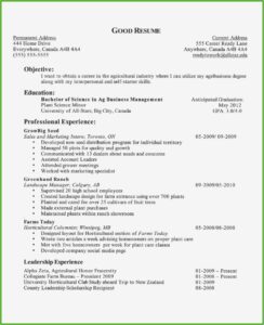 Resume Objective Examples For Retail Jobs