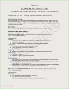 Resume Samples For Banking Professionals