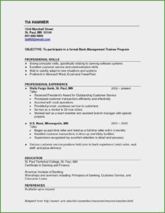 Resume Samples For Experienced Banking Professionals
