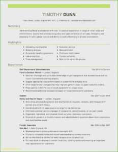 Resume Samples For Experienced Professionals