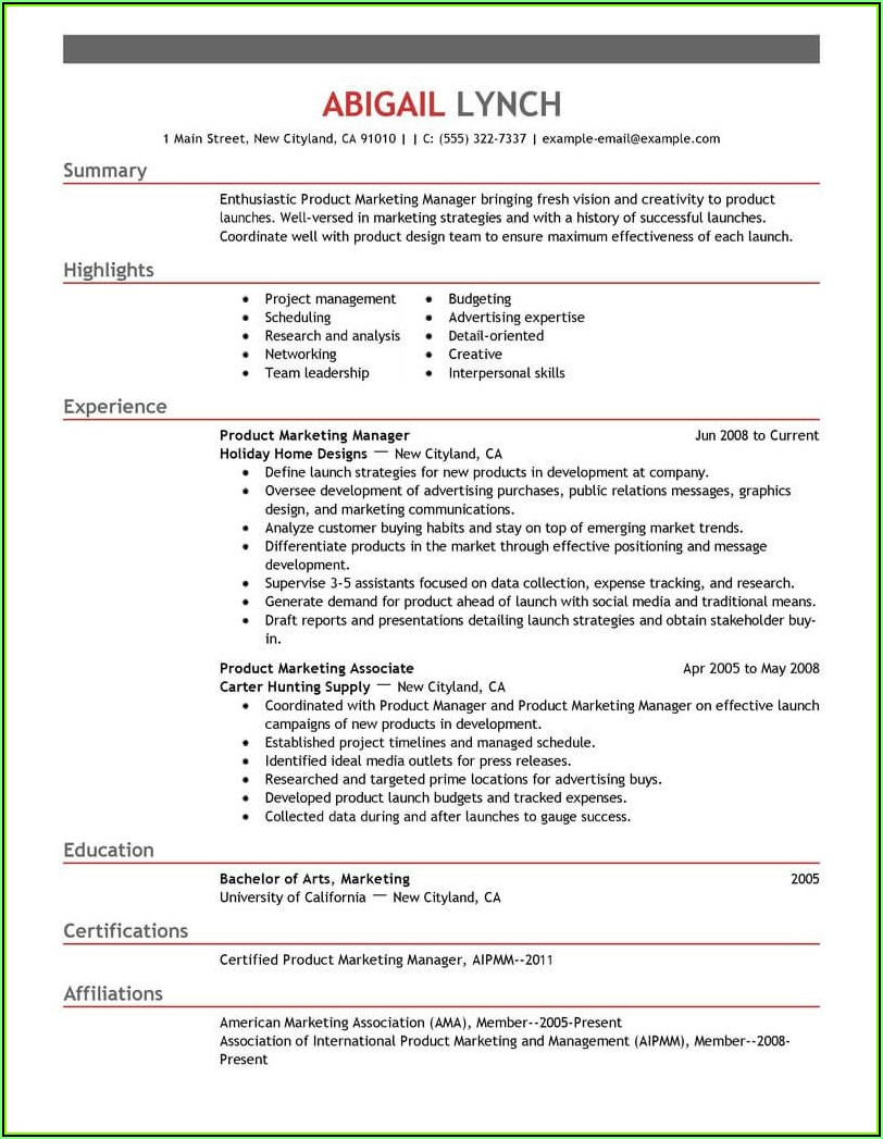 Resume Samples For Professionals