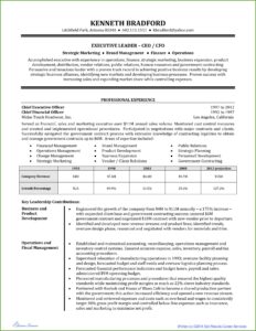 Resume Templates Executive Level
