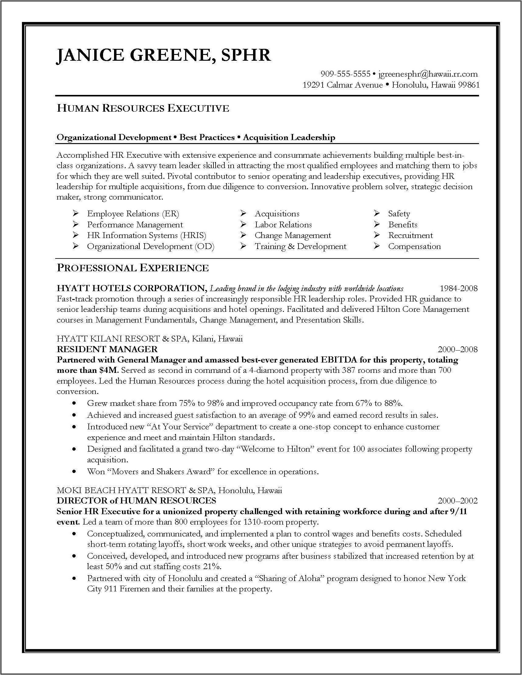 Resume Templates Executive