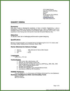 Resume Templates For Experienced Software Professionals