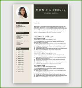 Resume Templates Free Download