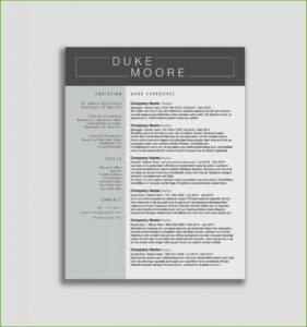 Resume Templates Free Download Doc