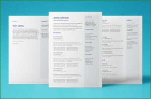 Resume Templates Free Download Google Docs
