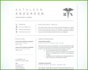 Rn Resume Template